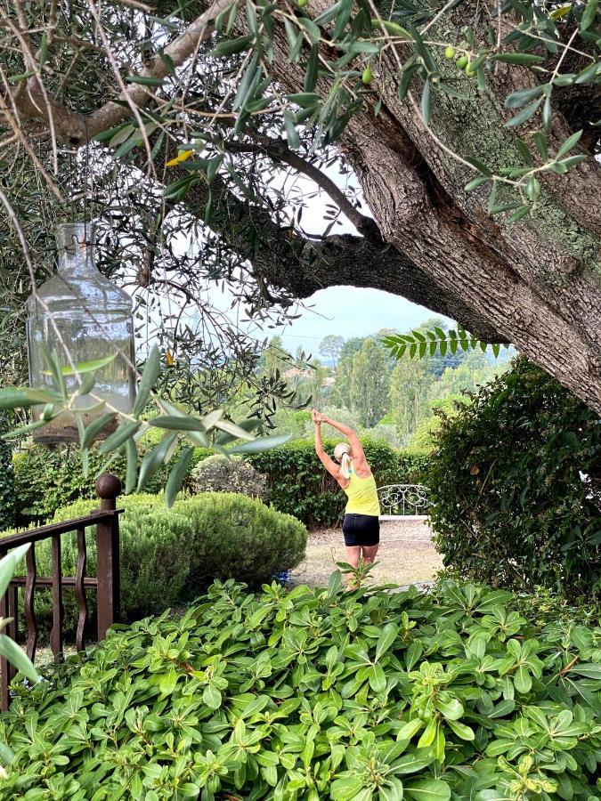 Le Manoir De L'Etang Otel Mougins Dış mekan fotoğraf